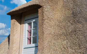 Fincham thatch roof disadvantages